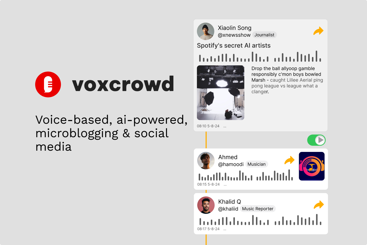 Voxcrowd project cover